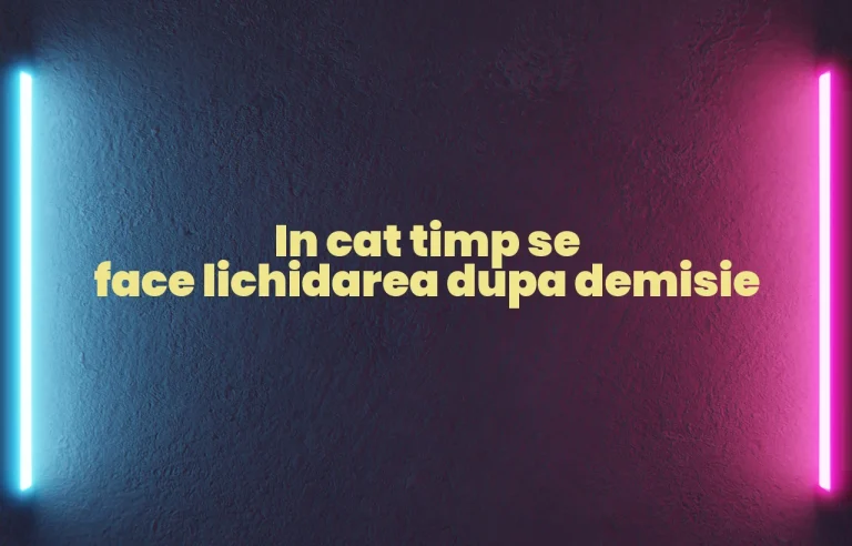 in cat timp se face lichidarea dupa demisie