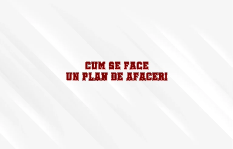 cum se face un plan de afaceri