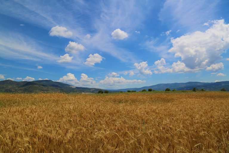 femeia perfecta pentru barbatul fecioara